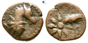 Pontos. Amisos 130-100 BC. Bronze Æ