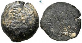 Ptolemaic Kingdom of Egypt. Uncertain mint. Time of Ptolemy IX to Ptolemy XII 116-51 BC. Bronze Æ
