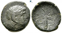 Cyrenaica. Cyrene. Time of Magas, as king of Cyrene circa 282-261 BC. Bronze Æ