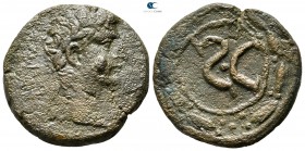 Seleucis and Pieria. Antioch. Augustus 27 BC-AD 14. Contemporary imitation ?. As Æ