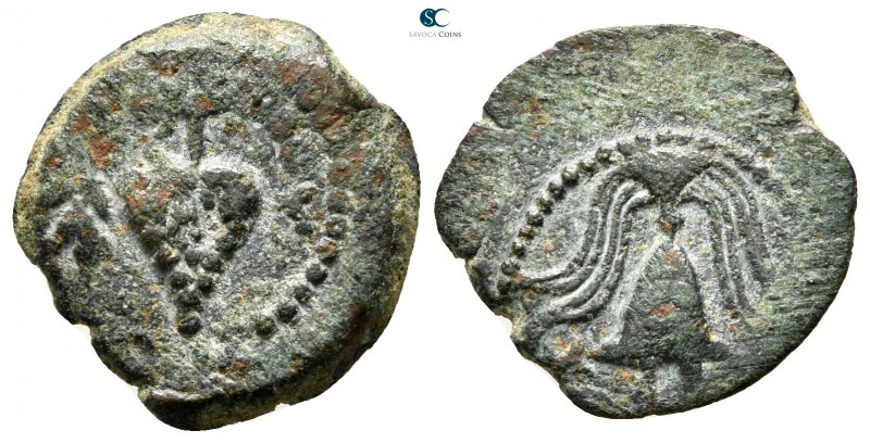 Judaea. Jerusalem. Herod Archelaus 4 BC-AD 6. 
Bronze Æ

17 mm., 2,46 g.

...