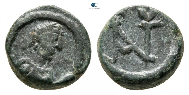 Anastasius I AD 491-518. Constantinople
Nummus Æ

8 mm., 1,05 g.



very ...