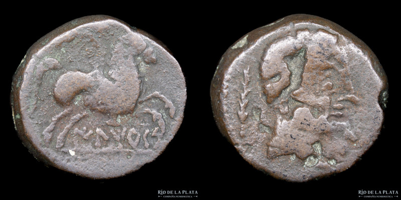 Hispania. Iltirkes (Tortosa). (80-20BC) As. Bronze; 23mm; 9.81g. A: Bare male he...