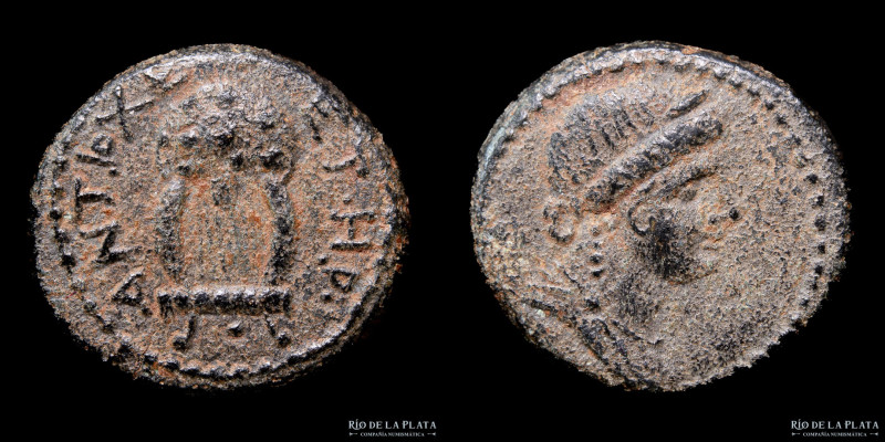 Seleucis and Pieria. Antioch. Time of Nero (54-68AD) Bronze; 17mm; 4.24g. A: Lau...