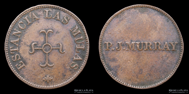 Argentina. Ficha. Estancia Las Mulas. P. J. Murray. Chascomús. Cobre; 20mm; 2.80...