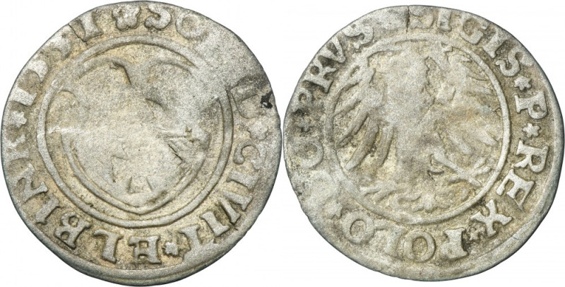 Sigismund I the Old, Schilling Elbing 1531 Variety with ending of the obverse le...