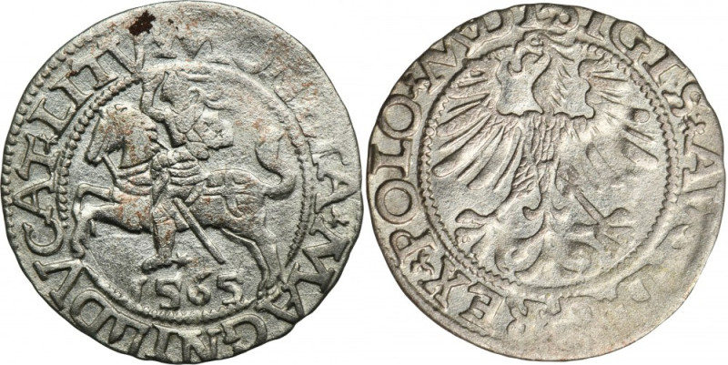 Sigismund II August, Halfgroat Vilnius 1565 - L/LITV Variety with endings of the...