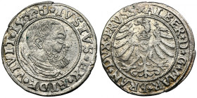 Duchy of Prussia, Albert Hohenzollern, Groschen Königsberg 1532 - PRVSS