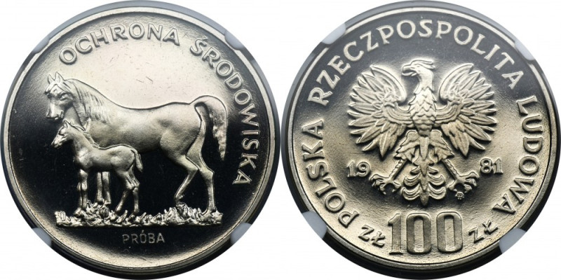 PRÓBA NIKIEL, 100 złotych 1981 Ochrona Środowiska Konie - NGC PF67 ULTRA CAMEO M...