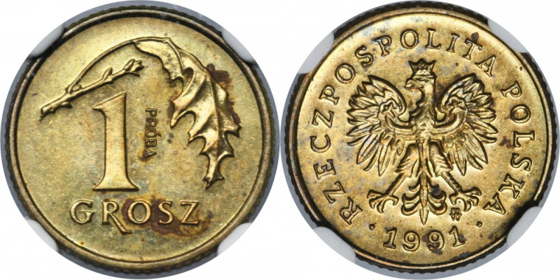 PRÓBA MOSIĄDZ, 1 grosz 1991 - NGC MS63 - RZADKA Rzadka próba w mosiądzu jednego ...