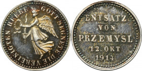 Medal Reconquest of Przemyśl 1915 - RARE RR
