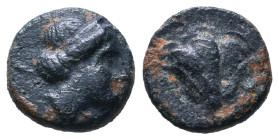 Greek Coins. 4th - 1st century B.C. AE

Reference :

Condition: Very Fine
Weight: 2g