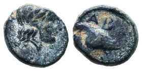 Greek Coins. 4th - 1st century B.C. AE

Reference :

Condition: Very Fine
Weight: 2g