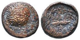 Greek Coins. 4th - 1st century B.C. AE

Reference :

Condition: Very Fine
Weight: 4g