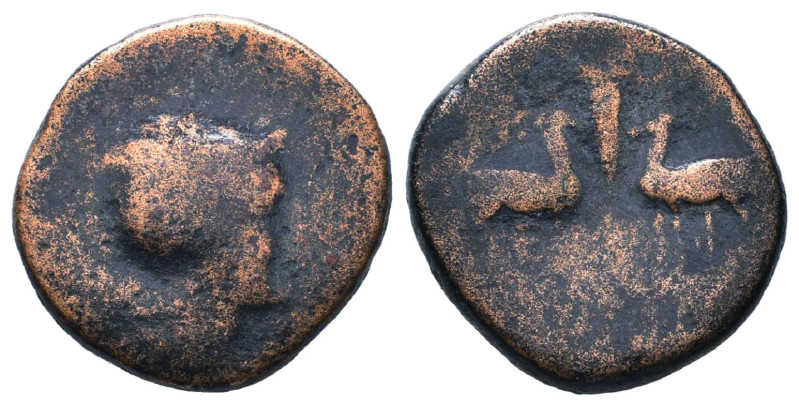 Greek Coins. 4th - 1st century B.C. AE

Reference :

Condition: Very Fine
W...