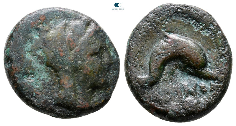 Apulia. Larinum circa 210-175 BC. 
Bronze Æ

18 mm, 4,09 g



Nearly Very...