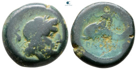 Lucania. Paestum circa 264-241 BC. Bronze Æ