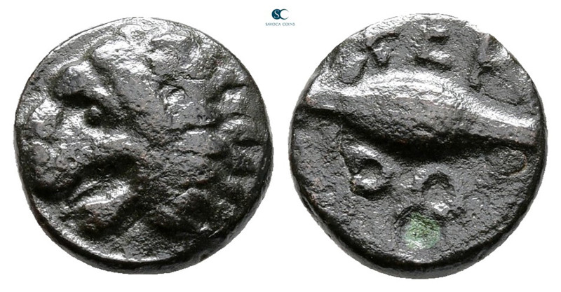 The Thracian Chersonese. Chersonesos circa 386-309 BC. 
Bronze Æ

11 mm, 1,29...