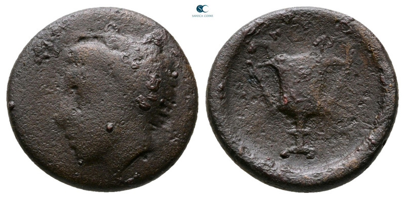 Thessaly. Skotussa circa 375-350 BC. 
Bronze Æ

16 mm, 2,67 g



Fine