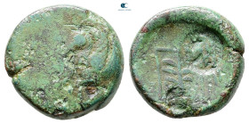 Troas. Skepsis circa 400-310 BC. Bronze Æ