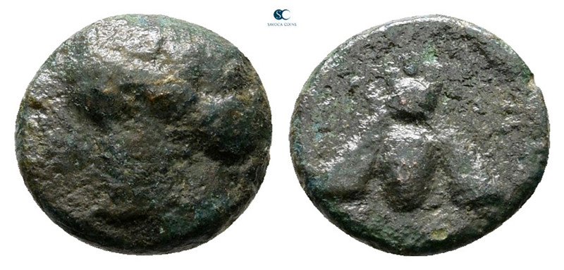 Ionia. Ephesos circa 375-325 BC. 
Bronze Æ

10 mm, 0,86 g



Fine