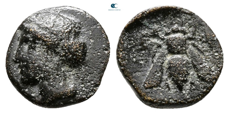 Ionia. Ephesos circa 375-325 BC. 
Bronze Æ

11 mm, 0,85 g



Nearly Very ...