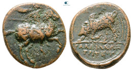 Ionia. Magnesia ad Maeander circa 350-200 BC. Bronze Æ