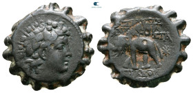 Seleukid Kingdom. Antioch on the Orontes. Antiochos VI Dionysos 144-142 BC. Serrate Æ