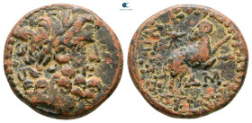 Seleucis and Pieria. Antioch. Pseudo-autonomous issue. Time of Augustus 27 BC-AD 14. Bronze Æ