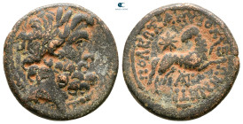 Seleucis and Pieria. Antioch. Pseudo-autonomous issue. Time of Augustus 27 BC-AD 14. Bronze Æ