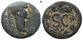 Seleucis and Pieria. Antioch. Nerva AD 96-98. Bronze Æ