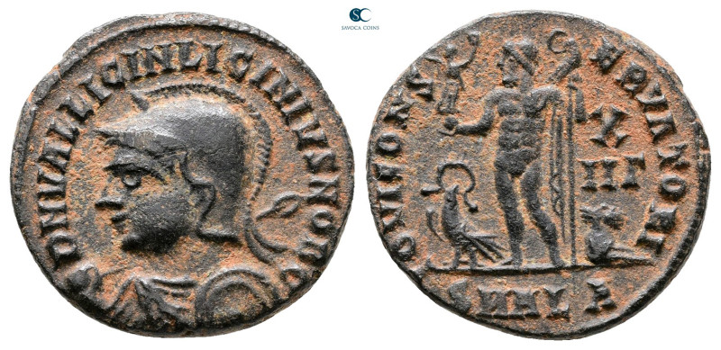 Licinius II, as Caesar AD 317-324. Alexandria
Follis Æ

19 mm, 3,42 g



...