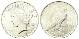 USA
Federazione.
Dollaro Peace 1923, zecca di Philadelphia.
Ag
gr. 26,62
Dr. IN GOD WE TRVST / LIBERTY. Testa muliebre a d. con corona radiata.
...