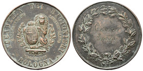 BOLOGNA
Durante Umberto I, 1878-1900.
Medaglia 1880 opus F. Grassi.
Æ
gr. 42,62 mm 43,3
Dr. ACCADEMIA - DEI - RAGIONIERI. Leone regge stemma dell...