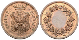 FORLI’
XX secolo.
Medaglia s. data.
Æ
gr. 22,59 mm 36
Dr. MUNICIP - FOROLIV. Stemma con aquila ad ali spiegate sormontato da corona.
Rv. Ghirlan...