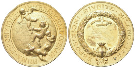 MILANO
Durante Umberto I, 1878-1900.
Medaglia 1894 opus A. Capuccio.
Æ dorato
gr. 49,68 mm 47,2
Dr. PRIMA ESPOSIZIONE - INTERNAZIONALE OPERAIA. P...