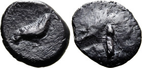 Etruria, Populonia AR Unit.
