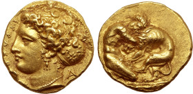 Sicily, Syracuse AV 100 Litrai - Double Dekadrachm.