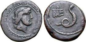 Kings of the Bosporos, Polemo I Æ 19mm.
