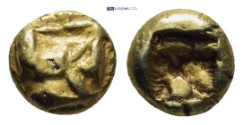 IONIA, Uncertain. Circa 600-550 BC, EL Hemihecte (1/12 Stater) (1.34 Gr. 8mm.)
 Uncertain type.
Rev. Incuse square