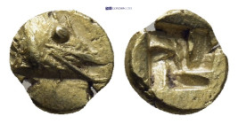 MYSIA, Kyzikos. Circa 600-550 BC. EL 1/24 Stater (0.6 Gr. 7mm.) 
Half of a tunny fish right
Rev. Quadripartite incuse square in swastika form.