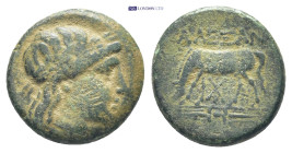 TROAS. Alexandria Æ.(18mm, 4.75 g) 3rd-2nd century BC. Obv: Laureate head of Apollo to right. Rev: Horse grazing to left; ΑΛΕΞΑΝ above, monogram below...