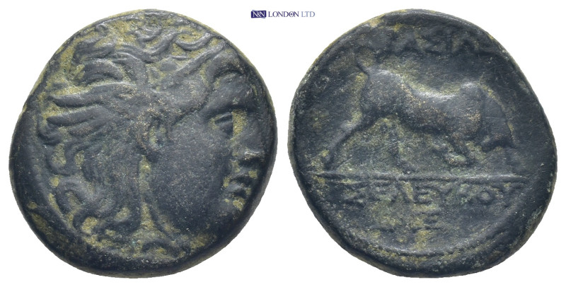 SELEUKID KINGS OF SYRIA. Seleukos I Nikator (312-281 BC). AE. Sardes. (7 Gr. 19m...