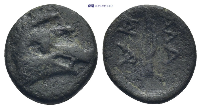 Thrace, Adaios . Circa 255-245 BC. AE. (2.19 Gr. 14mm.)
 Head of boar right 
Rev...