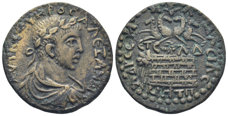 Pontus. Amasia Severus Alexander A.D. 222-235. AE. (23.5 Gr. 33mm.)
 Laureate, d...