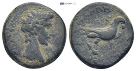 Phrygia, Amorium. Augustus, 27 BC-AD 14. AE. (5.6 Gr. 19mm.) Bare head of Augustus, right; before lituus. Rev. Eagle standing right on thunderbolt wit...