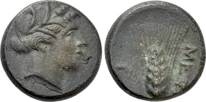 LUCANIA. Metapontion. Ae (Circa 300-250 BC). 

Obv: Wreathed head of Demeter r...
