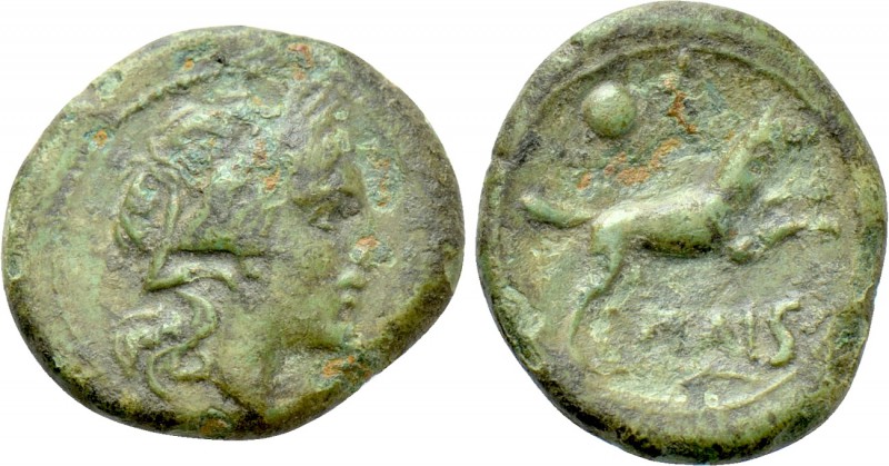 LUCANIA. Paestum (Poseidonia). Second Punic War (218-201). Ae Sescuncia. 

Obv...