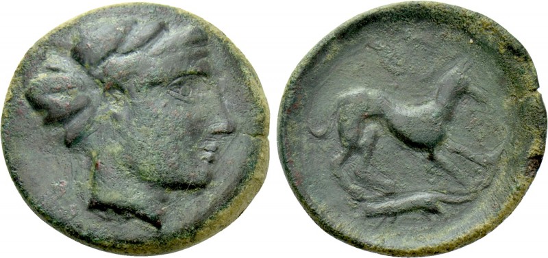 SICILY. Segesta (Circa 400-390 BC). Ae. 

Obv: Head of Aigiste right, with hai...