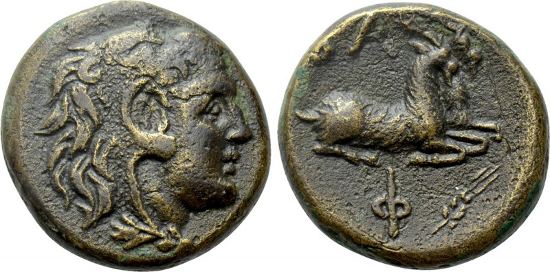 KINGS OF MACEDON. Philip V (221-179 BC). Ae. Pella or Amphipolis. 

Obv: Head ...